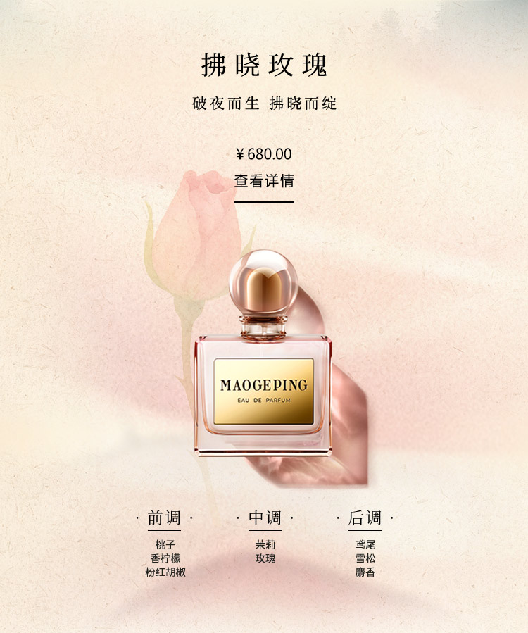 拂晓玫瑰